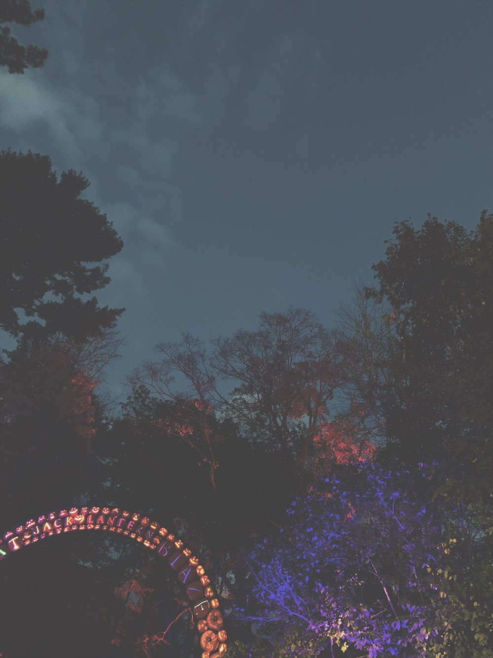 Processed with VSCO with t1 preset